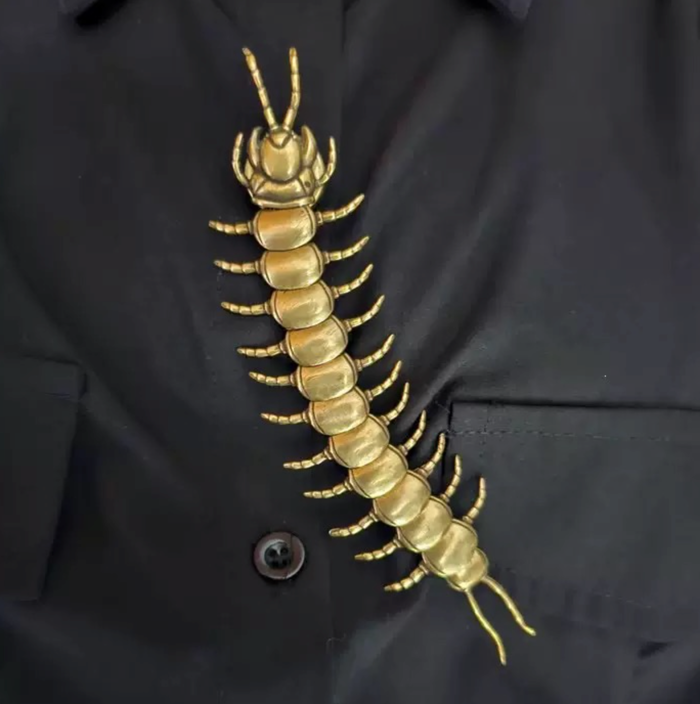 A metallic gold centipede pin or brooch displayed on a black button-down shirt.
