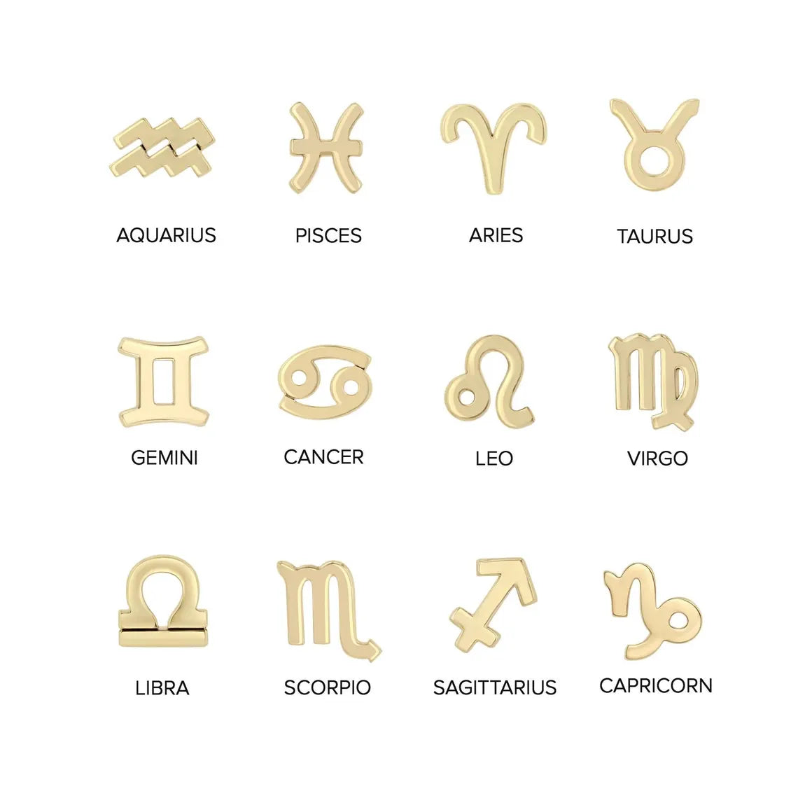 Small Zodiac Earrings