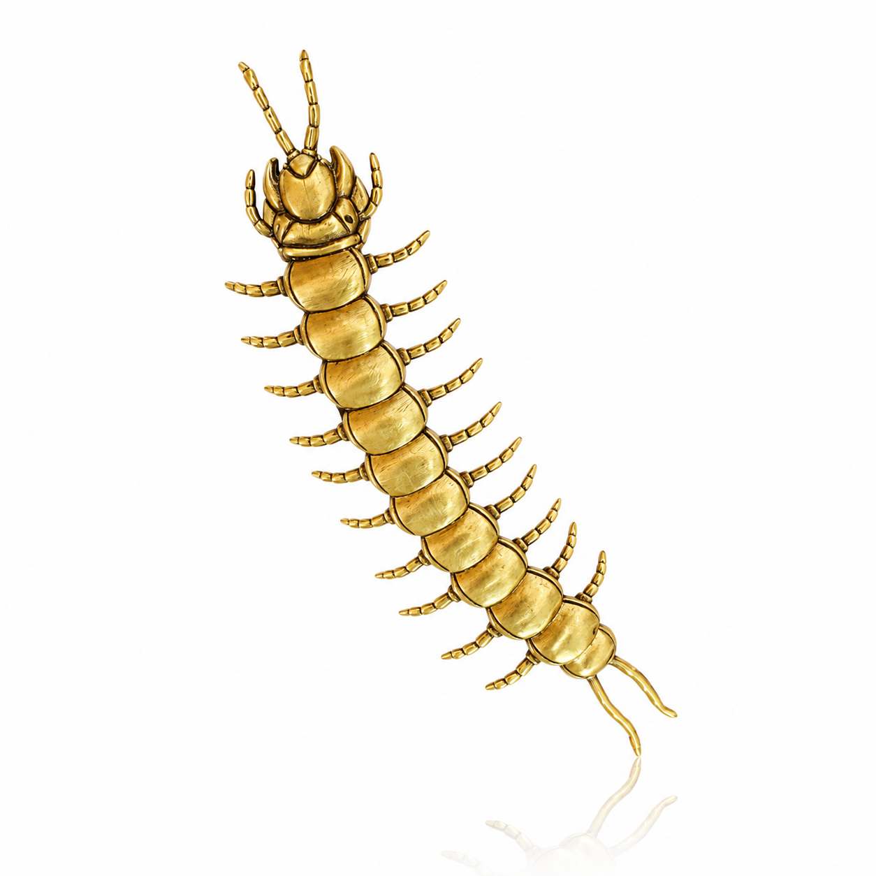 Imperial Centipede Button Cover