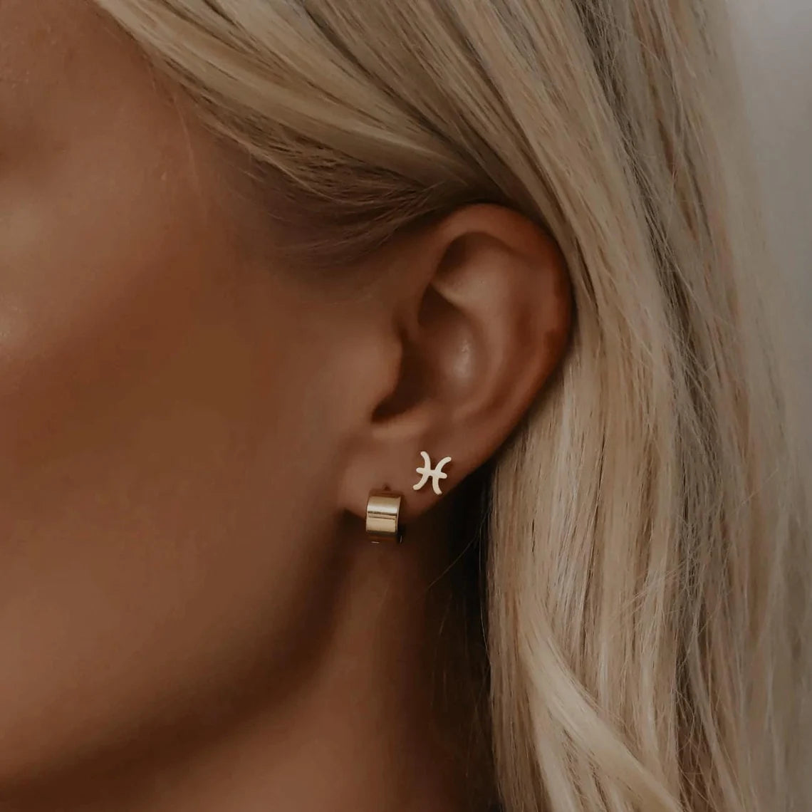 Small Zodiac Earrings
